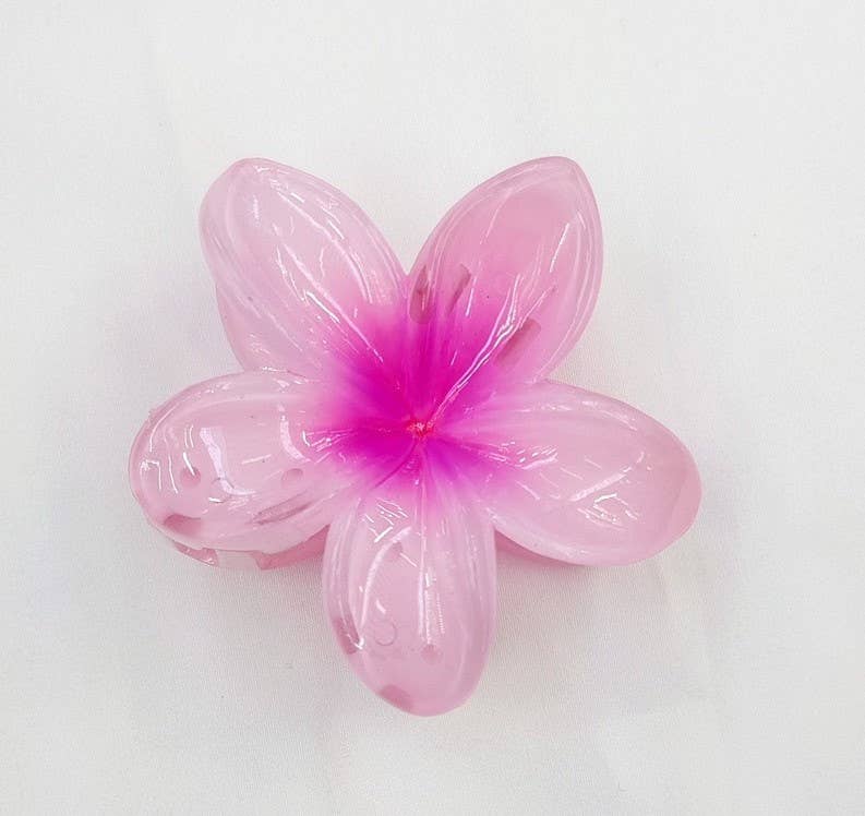 Ombré Blossom Hair Clip