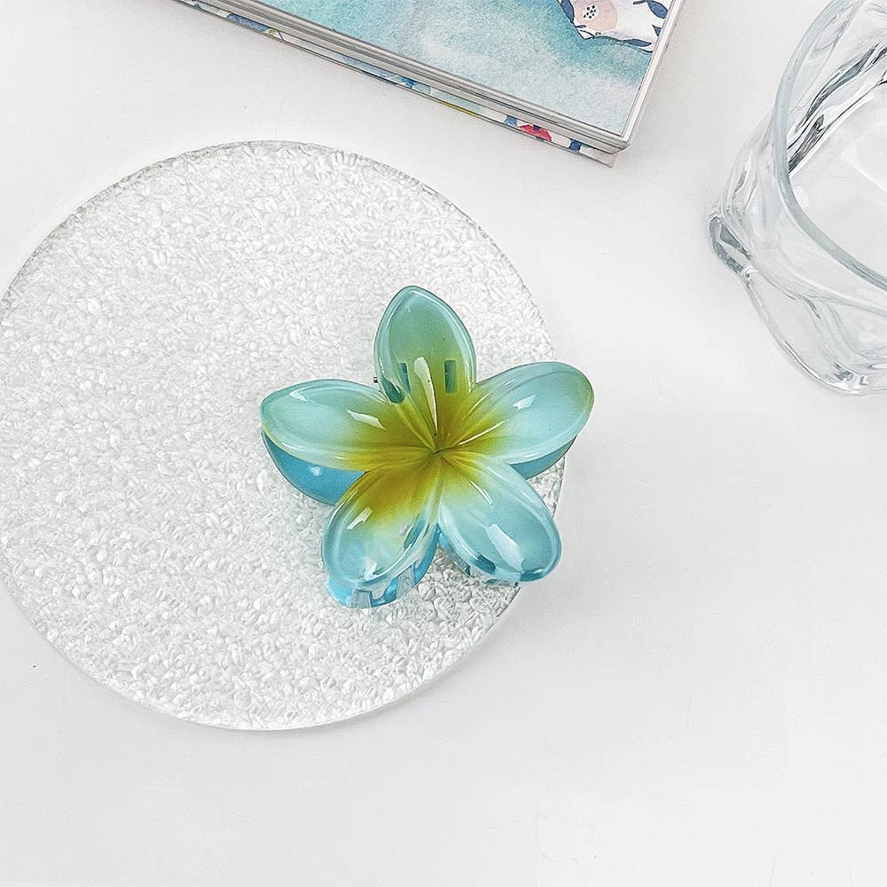 Ombré Blossom Hair Clip
