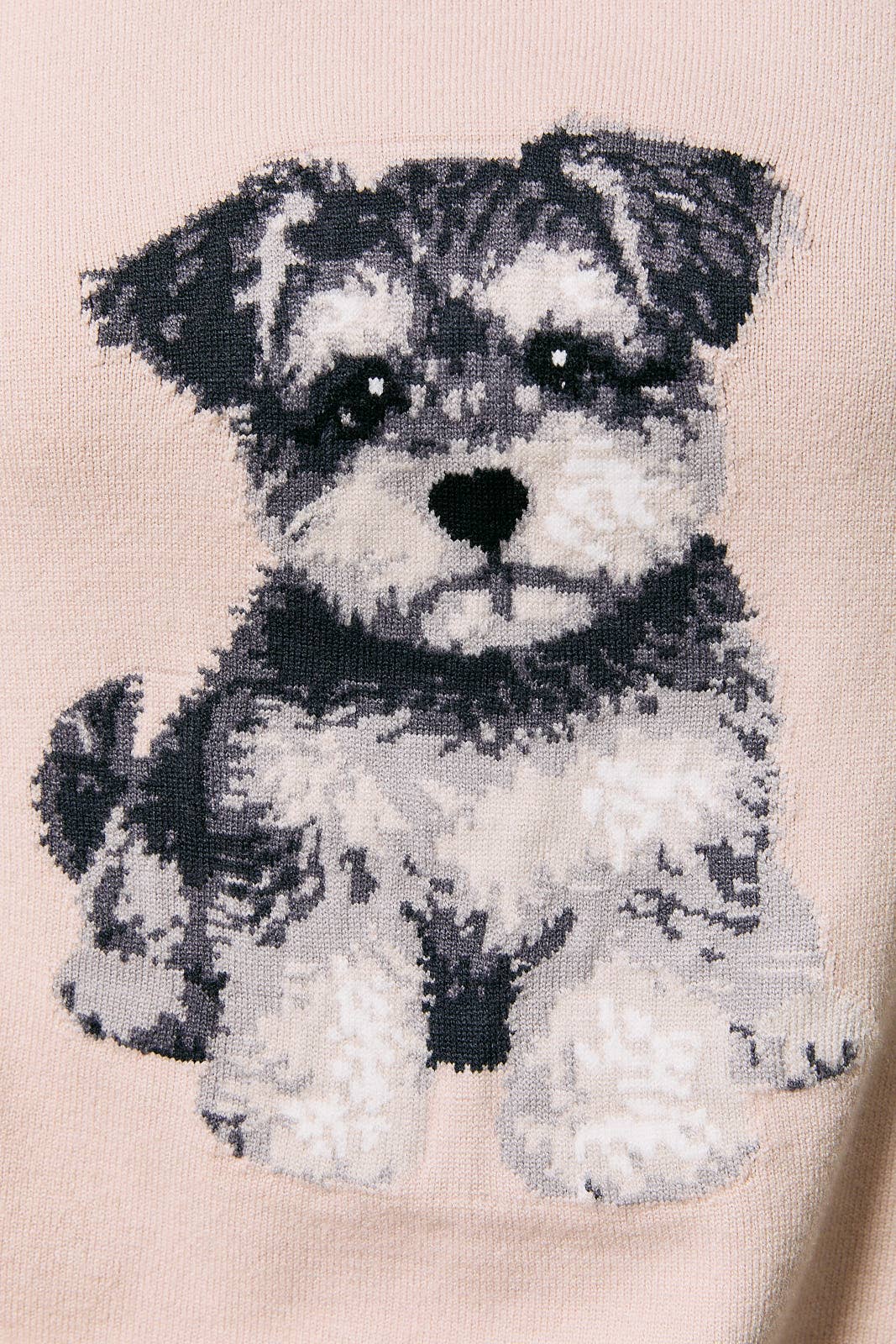 'Schnauzer' PUPPY LONG SLEEVE CREW NECK SWEATER