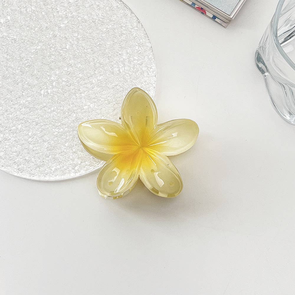 Ombré Blossom Hair Clip